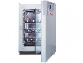 Thermo ScientificTM BB15 CO2 ϸ