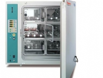 Thermo ScientificTM BBD6220 CO2 ϸ