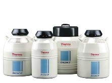 Thermo ScientificTM Bio-caneTM ϵҺ