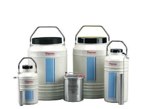 Thermo ScientificTM Arctic ExpressTM Ʒ\ݔϵͳ