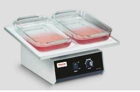 Thermo ScientificTMάʎ