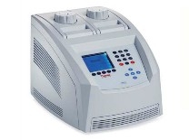 PCR x