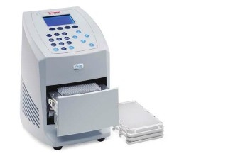 Thermo ScientificTM PikoTM PCR 