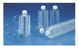 Thermo ScientificTM NuncTM ln Vitro ϸƿ