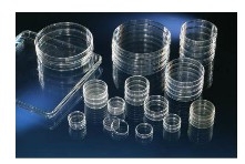 Thermo ScientificTM NuncTM NunclonTMϸ棻۱ϩ뾫Ʒһѿav߹ۿվa ƷһѣǾþ볱AƬ߳