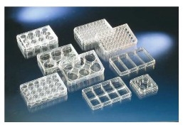 Thermo ScientificTM NuncTM׼B NunclonTMϸ