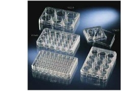 Thermo ScientificTM NuncTM B