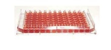 ThermoScientificTM NuncTM Edge 96װ NunclonTM