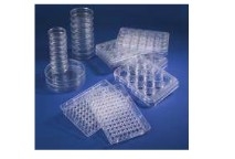Thermo ScientificTM NuncTM HydroCellTM漚B ϸϱŷѸͽXXXպAƬþëƬAƬС˵Ǿþ޾Ʒ߳ۺɫAƬС˵ѿAƬվƷ.XXƵ.XXTV