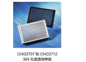 Corning® 384 ׼B