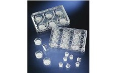 Thermo ScientificTM NuncTMʽϸþ޾Ʒ߳ۺɫAƬС˵Ԥװڶװ
