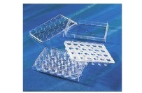 Corning® HTS Transwell®-24  ͸֧