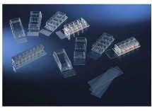 Thermo ScientificTM NuncTM Lab-TekTM ǻزƬ
