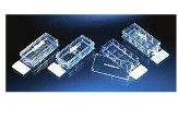 Thermo ScientificTM NuncTM Lab-TekTM lI ǻزƬ