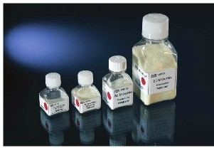 Thermo ScientificTM NuncTM 2D MicroHexTM΢ NunclonTM