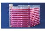 Thermo ScientificTM EasyFillTMS