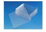 Thermo ScientificTM NuncTM Bio-Assay ɸѡ