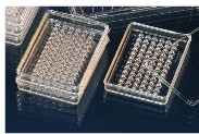 Thermo ScientificTM NuncTM MiniTrays  NunclonTM 
