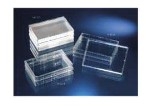 Thermo ScientificTM NuncTM ; NunclonTM 