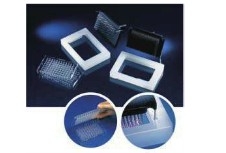 Thermo ScientificTM NuncTM ϵͳ