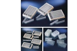 Thermo ScientificTM NuncTM΢װ壨ø壩