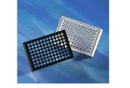 Corning® 96 ׺ɫ / ɫ͸