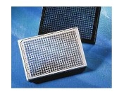 Corning® 384 ׺ɫ / ɫ۱ϩ͸