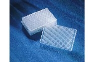 Corning® 384 ׾۱ϩ