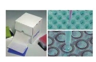 Thermo ScientificTM NuncTM΢װĤ