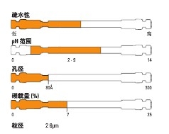 Thermo ScientificTM AccucoreTM RP-MS HPLC ɫ