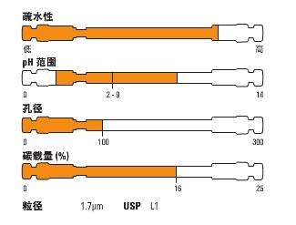 Thermo ScientificTM SyncronisTM C18 HPLC ɫ