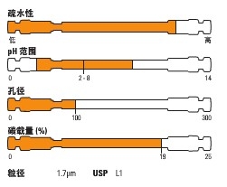 Thermo ScientificTM SyncronisTM aQ HPLC ɫ