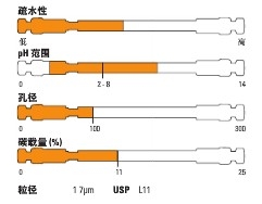 Thermo ScientificTM SyncronisTM Phenyl HPLC ɫ