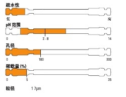 Thermo ScientificTM SyncronisTM HILIC HPLC ɫ