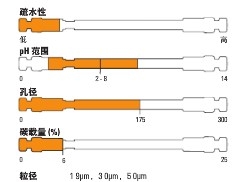 Thermo ScientificTM Hypersil GOLDTM AX HPLC ɫ