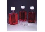 Thermo ScientificTM NALGENETM PETG ƿרܷ ϩ