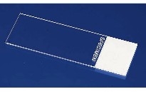 FisherbrandTM SuperfrostTMһزƬ