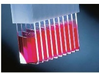 FisherBiotechTM ProbeOnTM  ProbeOn PlusTMزƬ